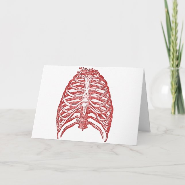 Tin Ribs Kort (Framsida)