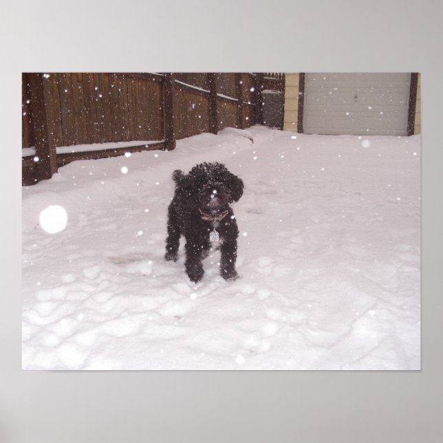 Tina Poster (Framsidan)