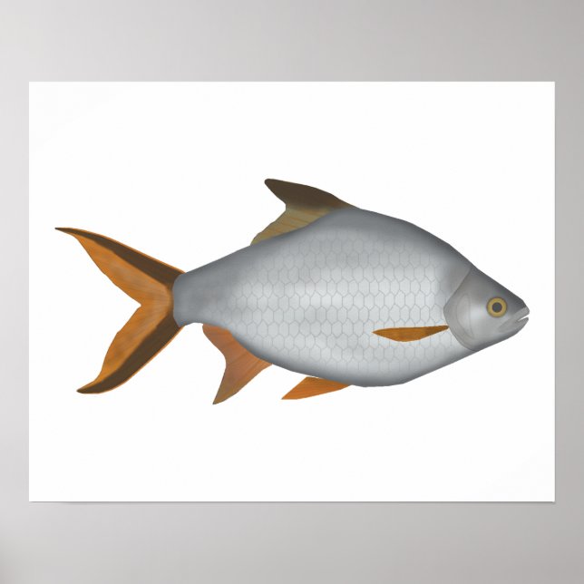 Tinfoil Barb Poster (Framsidan)