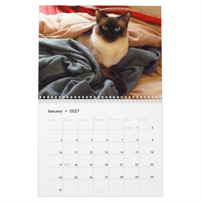 Ting Ting den Siamese katten Kalender (Jan 2027)