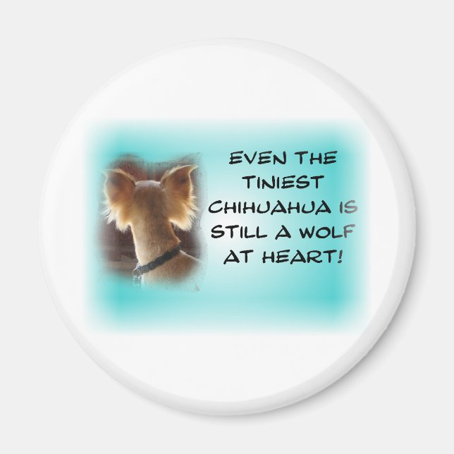 Tiniest Chihuahua... Magnet (Framsidan)