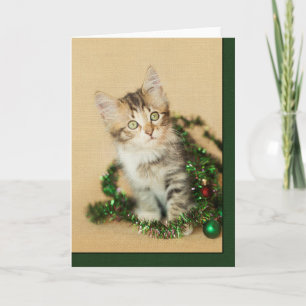 Tinsel Kitten Helgkort