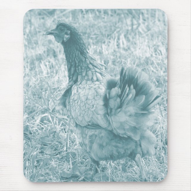 Tint Hen Musmatta (Framsidan)