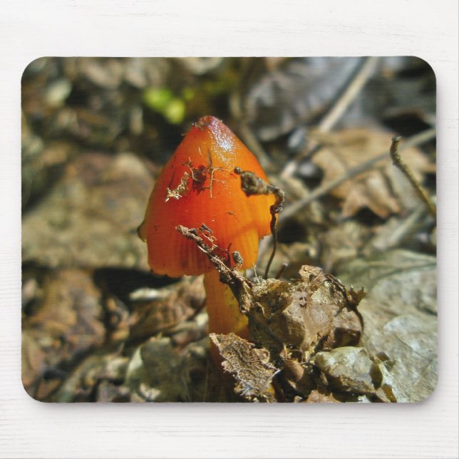 Tiny Amberina Cone Cap Mushroom Mousepad Musmatta (Framsidan)