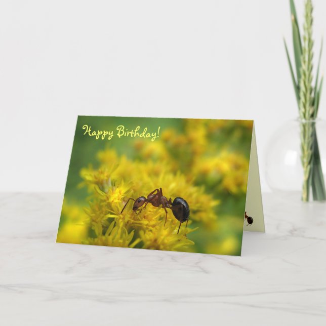 Tiny Ant on Goldenrod Birthday Kort (Framsida)