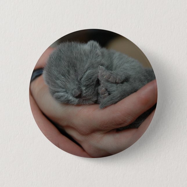 Tiny Baby blue Kitten Knapp (Framsida)