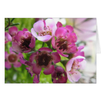 Tiny Bouquet Hälsningskort