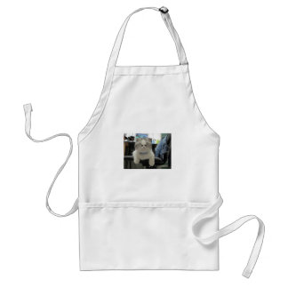 Tiny Cat Ansikte Apron Förkläde
