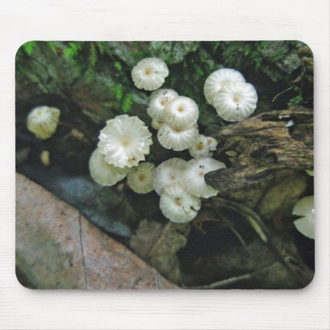 Tiny Crimped Mushroom Colony Mousepad Musmatta (Framsidan)
