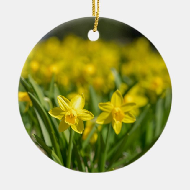 Tiny Daffodils Julgransprydnad Keramik (Framsidan)