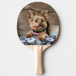 Tiny Dynamo Pingisracket