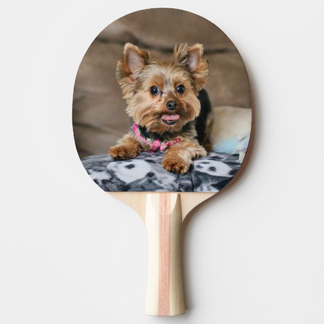 Tiny Dynamo Pingisracket (Framsidan)