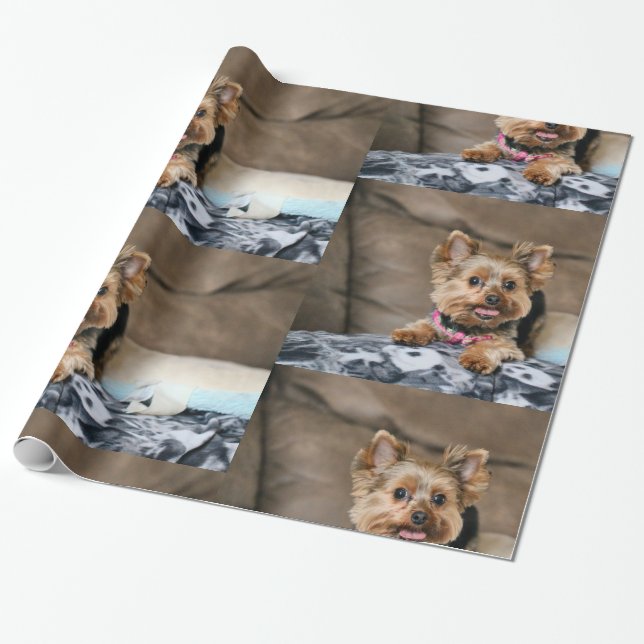 Tiny Dynamo Presentpapper (Utrullad)