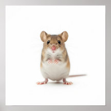 Tiny Fält Mouse Art