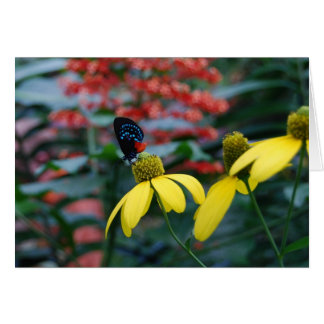 Tiny Färg Hälsningskort