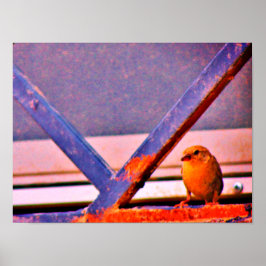 Tiny Finch Poster