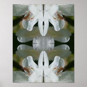Tiny Grashopper on White Azalea Flower Abstrakt Poster