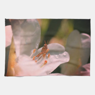 Tiny Grashopper on White Azalea Flower Kökshandduk