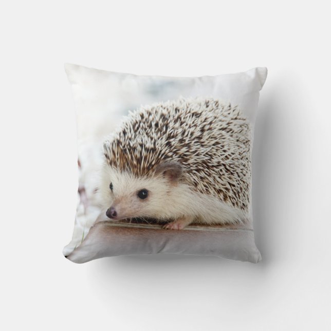 Tiny Hedgehog Kudde (Framsida)