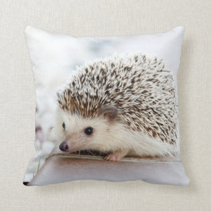 Tiny Hedgehog Kudde