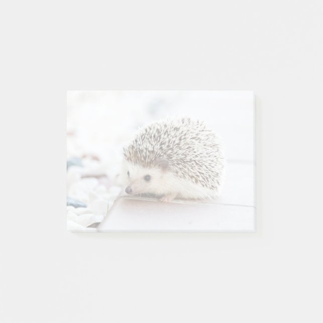 Tiny Hedgehog Post-it Block (Framsida)