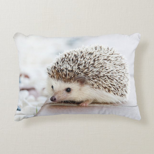 Tiny Hedgehog Prydnadskudde (Framsidan)