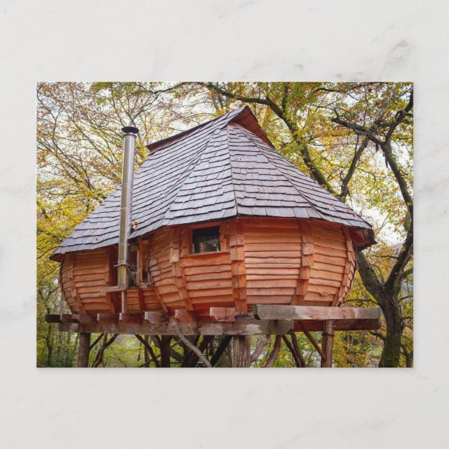 TINY HOUSE RUSTIC CABIN POSTCARDS VYKORT (Framsida)
