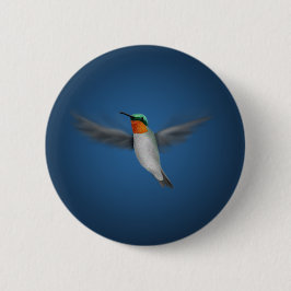 Tiny Illustrated Hummingbird Knapp