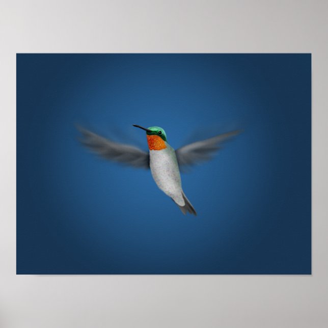 Tiny Illustrated Hummingbird Poster (Framsidan)