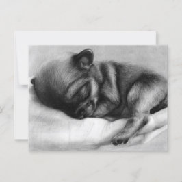 Tiny Life - Hand Painting Chihuahua Newborn Vykort