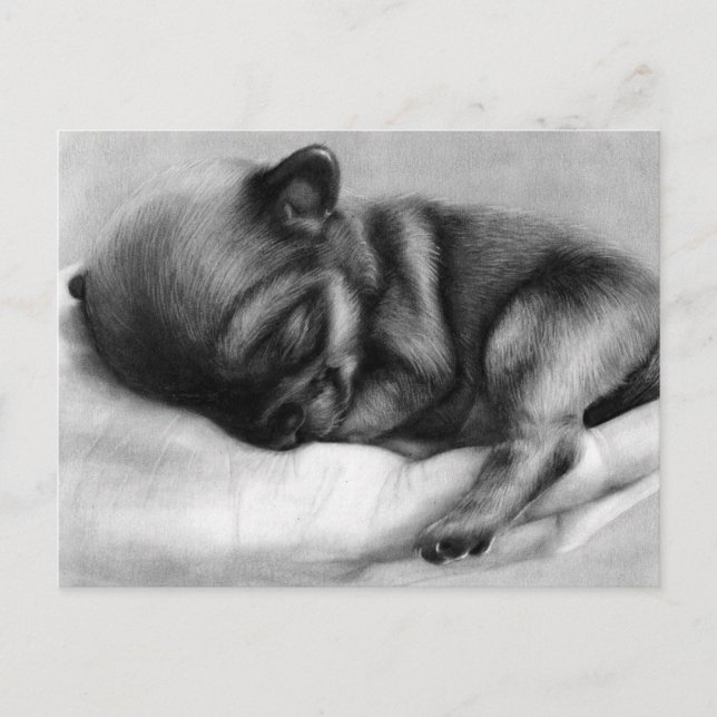 Tiny Life - Hand Painting Chihuahua Newborn Vykort (Framsida)