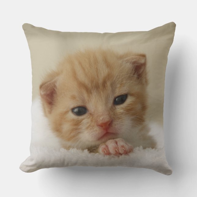 Tiny Orange Kitten Kudde (Framsida)