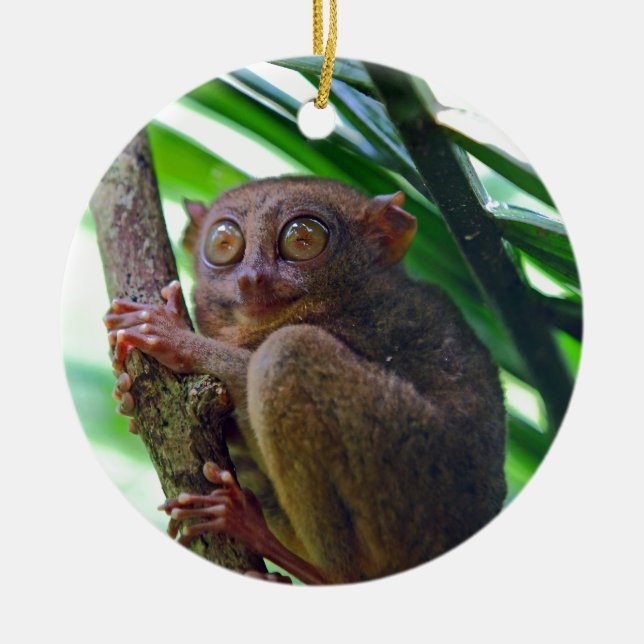 Tiny Philippine tarsier Julgransprydnad Keramik (Framsidan)