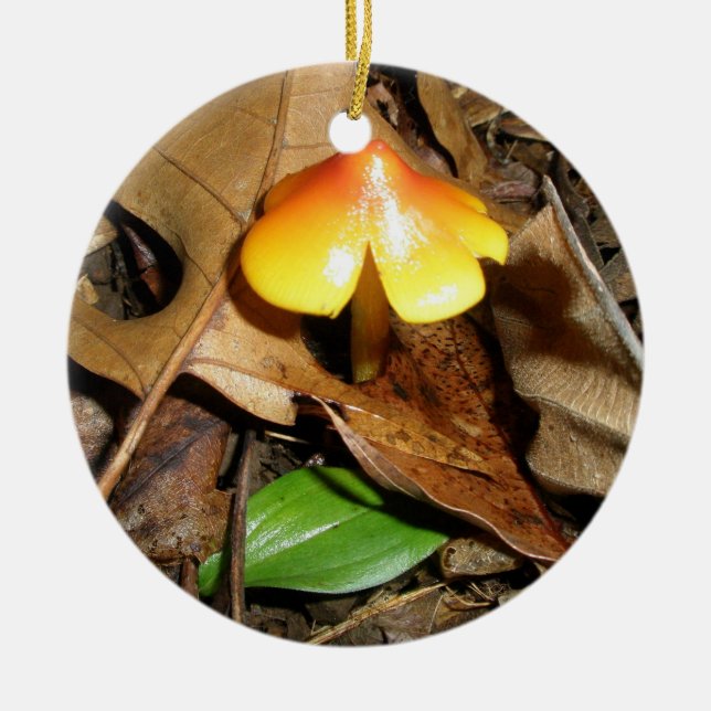 Tiny Red Gult Mushroom jul Ornament (Framsidan)