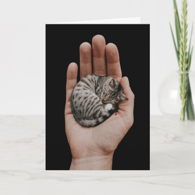 Tiny Tabby Kort (Framsida)