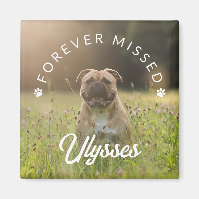 Tiny Tass avtryck Forever Missed Pet Photo Magnet (Framsidan)
