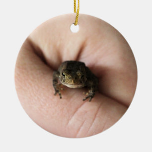 Tiny toad julgransprydnad keramik