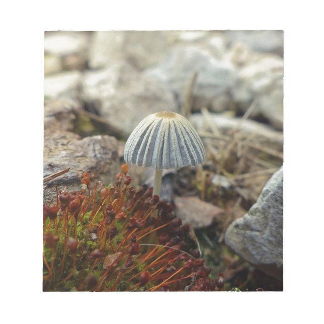 Tiny Toadstool Anteckningsblock (Framsida)