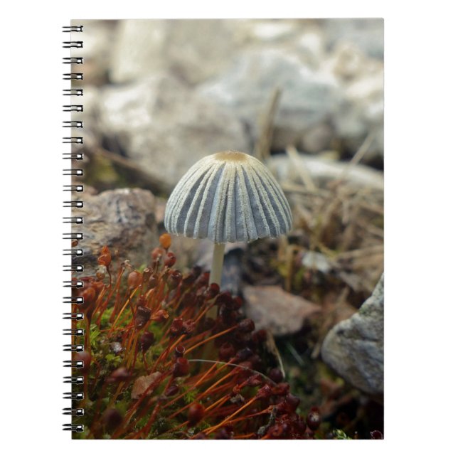 Tiny Toadstool Anteckningsbok (Framsidan)
