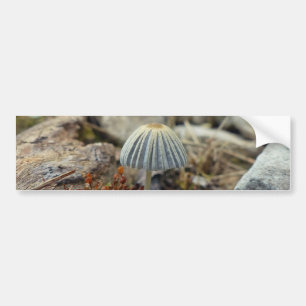 Tiny Toadstool Bildekal