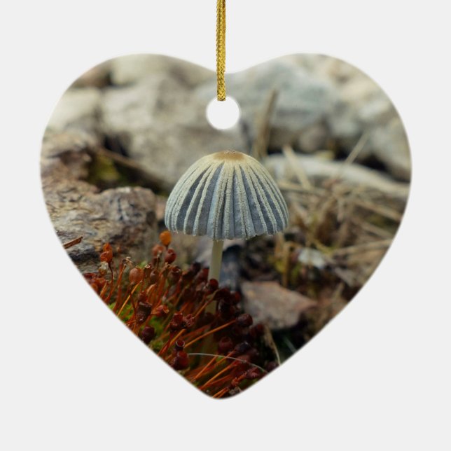 Tiny Toadstool Julgransprydnad Keramik (Baksidan)