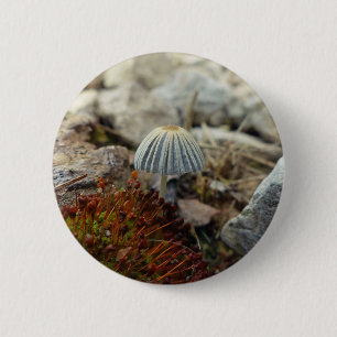 Tiny Toadstool Knapp