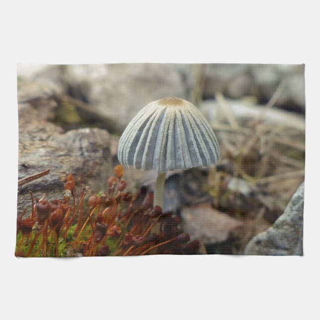 Tiny Toadstool Kökshandduk (Horisontell)