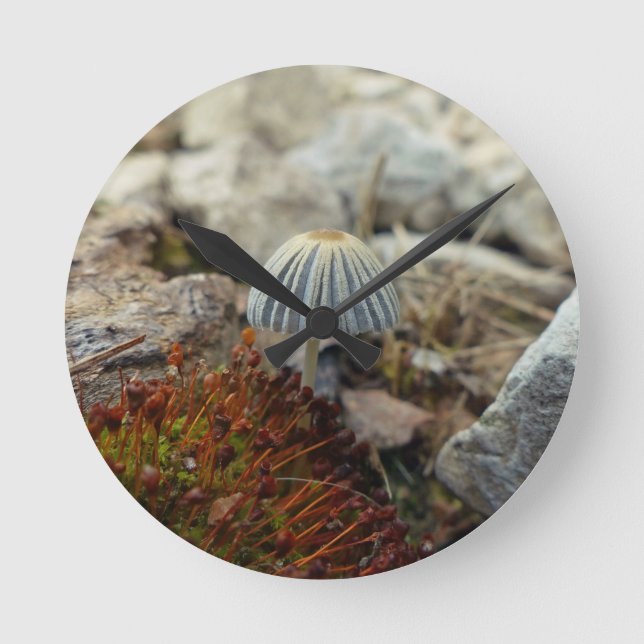 Tiny Toadstool Rund Klocka (Framsida)