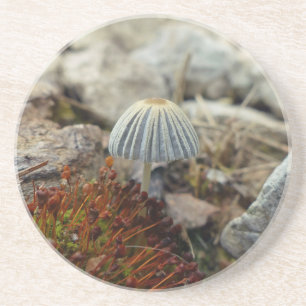 Tiny Toadstool Underlägg Sandsten