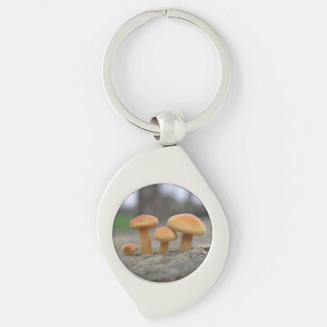 Tiny Toadstools Macro Keychain Swirl Silverfärgad Nyckelring (Framsidan)