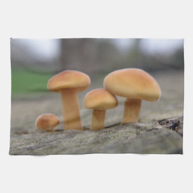 Tiny Toadstools Macro Kitchen Towel Kökshandduk (Horisontell)
