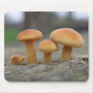 Tiny Toadstools Macro Mousepad Musmatta