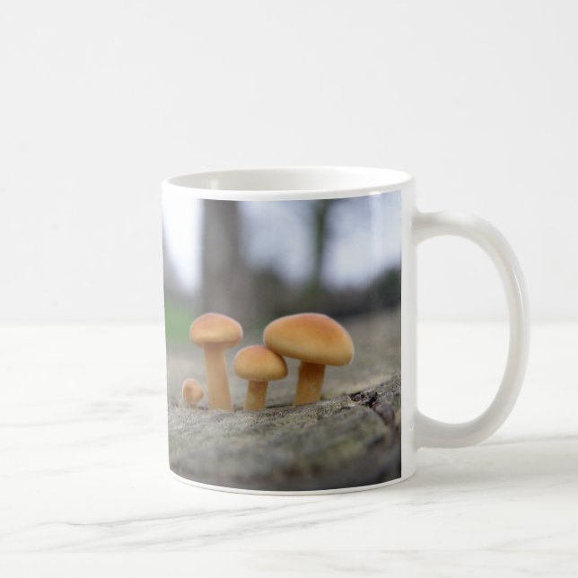 Tiny Toadstools Macro Mugg (Höger)