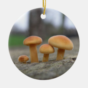 Tiny Toadstools Macro Ornament